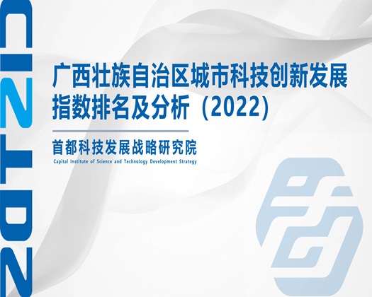 人妖操骚屁眼电影【成果发布】广西壮族自治区城市科技创新发展指数排名及分析（2022）